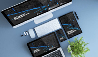 Web Development